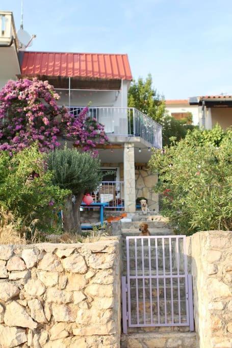 Small House At Seafront تيسنو المظهر الخارجي الصورة